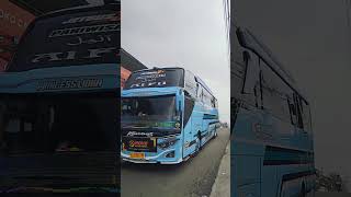 Kalebas liona busartis buspariwisata basuri automobile pecintabusmania [upl. by Cordi]