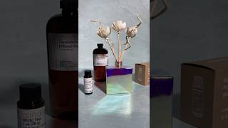 DIY Reed Diffuser  How To Home Fragrance Craft Project [upl. by Adnulahs]