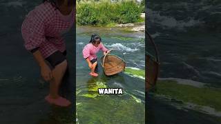 Wanita Ini Menangkap Ikan Yang Sangat Besar ‼️😱shorts [upl. by Sidra279]