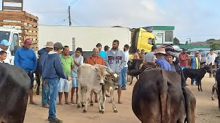 feira do gado Posto Alto Serra Pe131024 [upl. by Anirroc883]