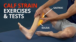 Calf Strain Rehab Exercises and Tests Gastrocnemius or Soleus [upl. by Reiser]