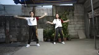 Aerobic Dance Steps High and Low Impact Physical Activity  Physical Education [upl. by Reiss]