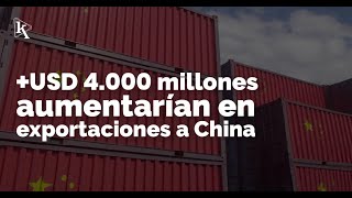 Acuerdo comercial entre Ecuador y China generaría hasta USD 4000 millones más [upl. by Alilak]