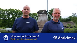 Hoe werkt Anticimex bij het bestrijden van houtworm en boktor [upl. by Ayikan]