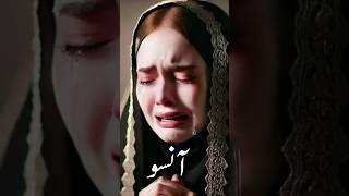 Yateem Ka Dil amanat hai 💔🙏 shabbir qamar bukhari emotional bayan status  shorts shortvideo [upl. by Myrlene840]