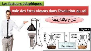 Rôle des êtres vivants dans lévolution du sol شرح بالداريجة [upl. by Grier]