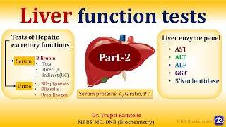 2 Liver Function TestsPart 2 Organ Function Tests  Biochemistry  NJOY Biochemistry [upl. by Rad725]