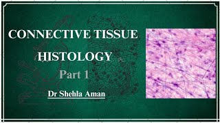 Connective Tissue 1  Connective Tissue proper  body tissues Human Histology  Dr Shehla Aman [upl. by Gawain950]