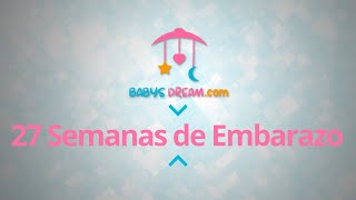 Bebé  27 Semanas de Embarazo  Signos y síntomas del embarazo [upl. by Margarete626]