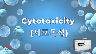 LCK Cytotoxicity 세포독성 MTT assay [upl. by Box]