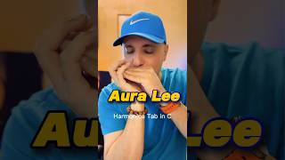 EASY Harmonica Songs Aura Lee How to Play amp Breathe Patterns [upl. by Aicinet306]