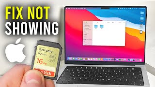 How To Fix SD Card Not Showing Up On Mac  Full Guide [upl. by Lau]