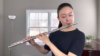 Mendelssohn Midsummer Nights Dream Scherzo Flute Excerpt [upl. by Treboh586]