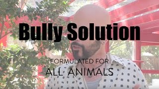 Bully Solution by Jackson Galaxy Solutions for Cats [upl. by Beaulieu174]