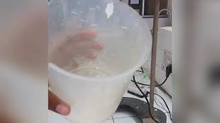 Rats Brain tissue homogenate and centrifuge [upl. by Lorin125]