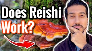 Reishi Mushrooms for Anxiety Cancer and Immune System  Are Reishi Mushrooms Safe [upl. by Retep]