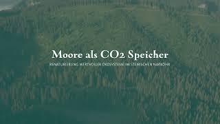 Moore als CO2Speicher Bundesforste setzen Renaturierung des steirischen Naßköhrmoors fort [upl. by Suivatna]