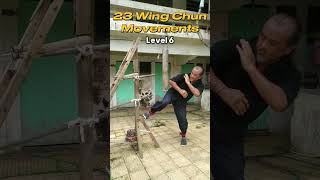 Level 6 23 Wing Chun Movements [upl. by Amapuna425]