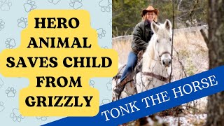 HERO ANIMAL  Horse Saves Child from Grizzly Bear TONK defeats massive bear to save little boy [upl. by Goldshlag911]