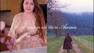 Peaceful Nature amp Food Cozy Swiss countryside  DIY Vlog Autumn [upl. by Tertias]