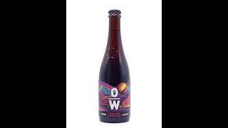 Cosmic crush raspberry sour 45  Brewdog overworks  review No 57 [upl. by Adarbil]