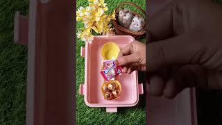 Chhote bhai ke liye big chocolate lunch box 🍫🍱 ushnaabbasi choclatelunchbox food like share [upl. by Rosette]