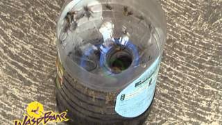 Pop Bottle Wasp Trap Clipmp4 [upl. by Aoh]