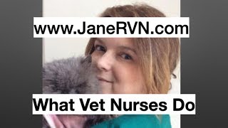 What do vet nurses do  planetrvn [upl. by Sorazal]