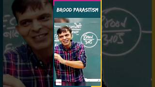 Brood Parasitism by Sunil Puniya Sir springboard shorts viral [upl. by Kreda]