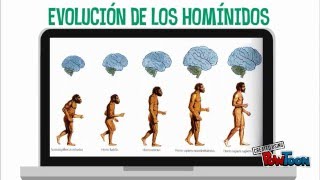 Evolución humana [upl. by Donahue]