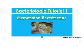 Bactériologie Tutoriel 1  Faire une suspension bactérienne [upl. by Gunthar]