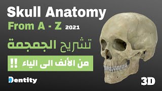 شرح مبسط  تشريح الجمجمة  Skull Anatomy  From AZ [upl. by Aramoix409]