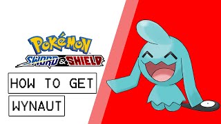 Pokemon Sword amp Shield How To Get Wynaut [upl. by Eiramave]