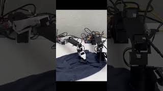 Building an Accessible Robotic Arm Inspired by the GELLO Project [upl. by Huebner]