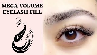 How to Do A Mega Volume Eyelash Extension Fill  Eyelash Extensions 101 [upl. by Ymmaj]