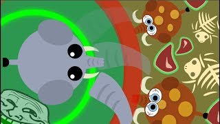 Mopeio Battle Royale VICTORY And BESTS MOMENTS Compilation  Mope Beta [upl. by Ahsaetan]