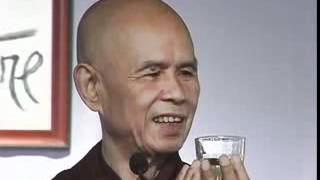 Thich Nhat Hanh On Birth and Death [upl. by Afihtan]