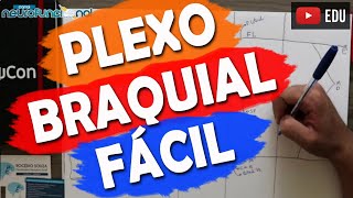 PLEXO BRAQUIAL DE FORMA FÁCIL  Macete [upl. by Clifford]