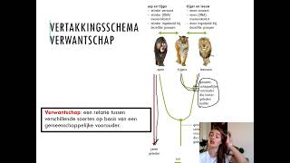 Samenvatting Ordening 1MHV Biologie Voor Jou MAX [upl. by Leatri]