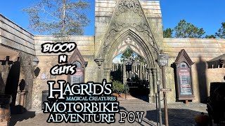 Hagrids Motorbike Adventure Islands of Adventure 5th Row Side Car [upl. by Dduj]