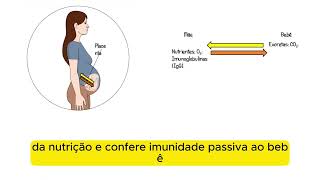 A nidação e a formação da placenta [upl. by Abihsot]