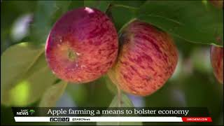 Apple farming a means to bolster Free States economy [upl. by Annawd151]