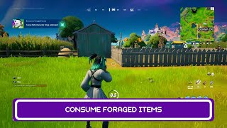 Consume Foraged Items  Unlock Toona Fish Styles  Fortnite Chapter 2 Season 8 [upl. by Itsyrc]