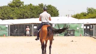 Dressage at Hickstead [upl. by Noraf676]