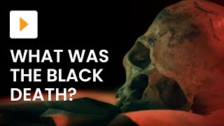 What Was The Black Death [upl. by Noid]