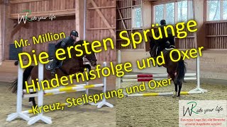 S15 Mr Million Springtraining Hindernisfolge und Oxer Training mit einem jungen Springpferd [upl. by Refinnaj247]