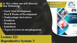 Early fetal development  Ectoderm  Mesoderm  Endoderm  Types of errors in morphogenesis [upl. by Delia914]