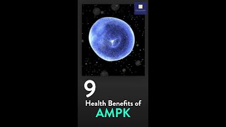 AMPK [upl. by Nance]