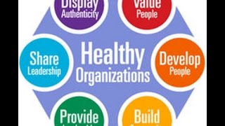 How to Diagnose and Improve Your Organizations Health [upl. by Aibun]