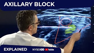 Axillary Brachial Plexus Block  Regional anesthesia Crash course with Dr Hadzic [upl. by Adnylg]